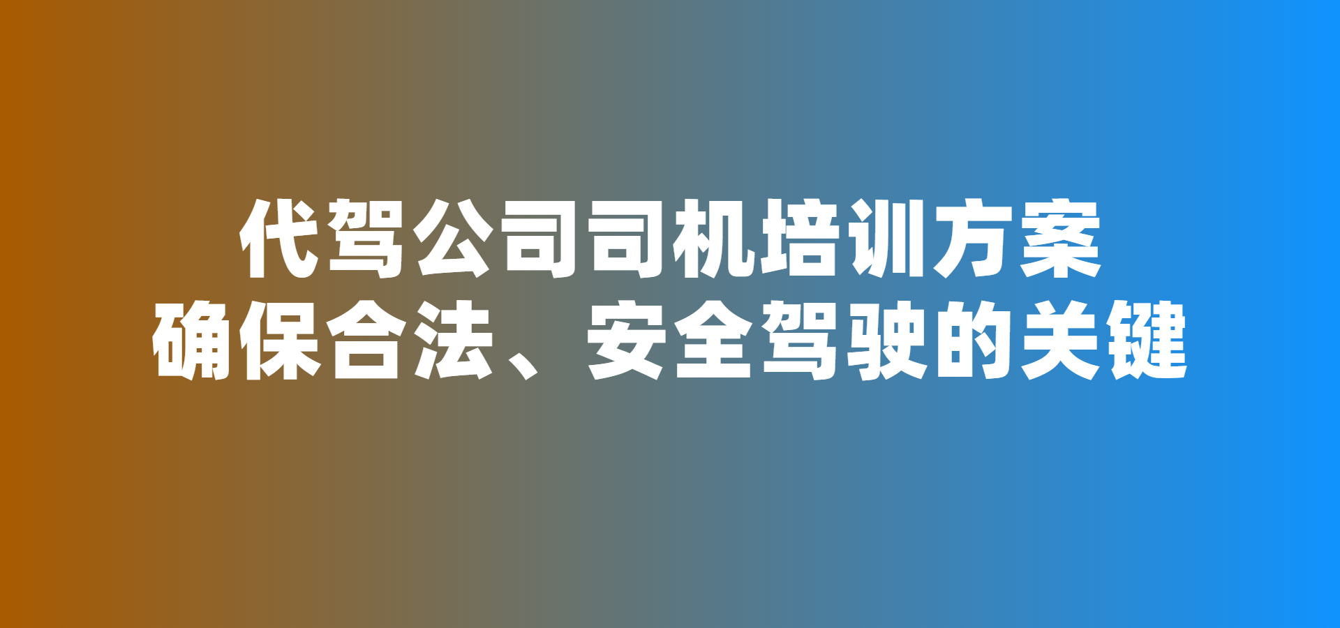 代駕司機(jī)培訓(xùn)